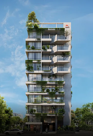 Cemex Nash Monjil